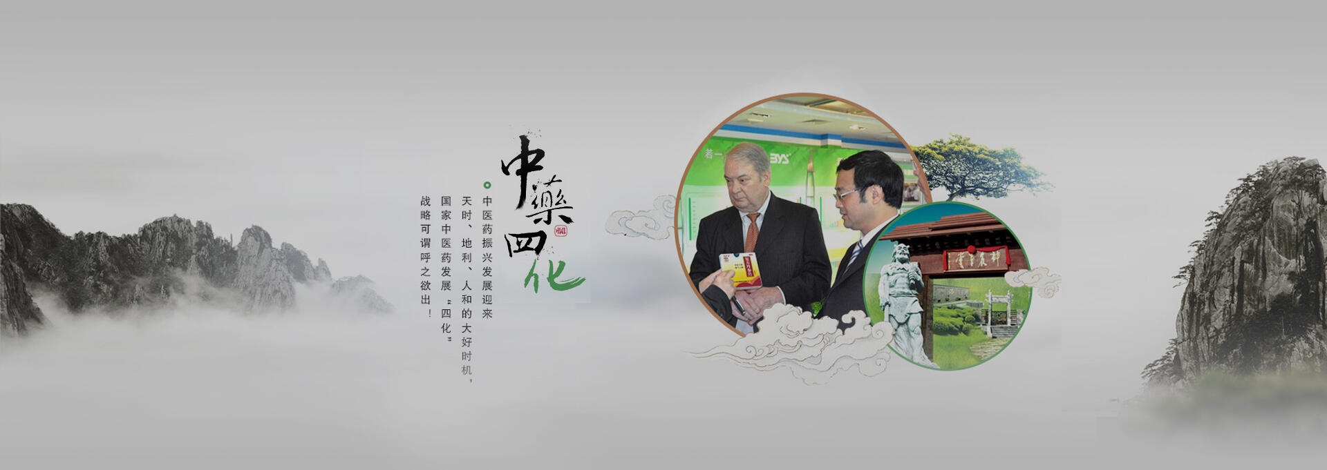 眉县建站-若一医药科技